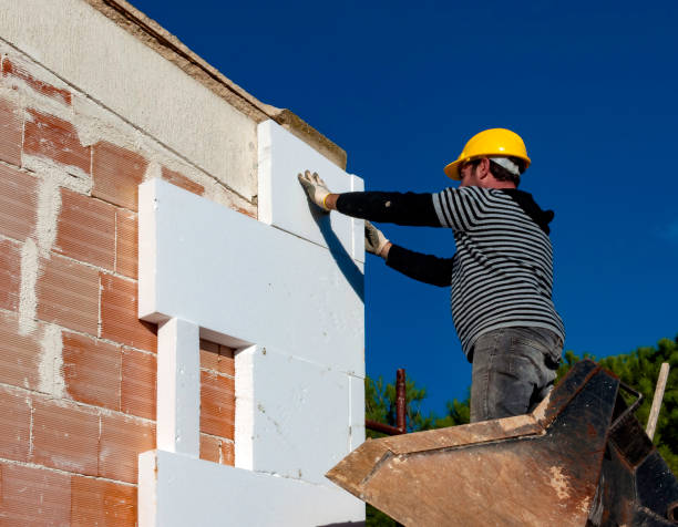 Best Blown-in Insulation  in Robstown, TX