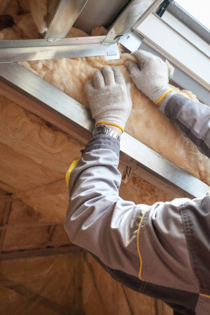 Best Insulation Inspection Services  in Robstown, TX